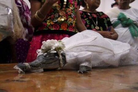 Prefeito casa com jacaré em tradição centenária no México; vídeo