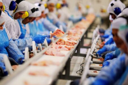 Frigoríficos de MS suspendem abate de bovinos após tarifa de 50% dos EUA (Foto: Agência Brasil)