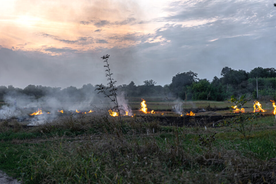 Cimehgo divulga comparativo sobre focos de incêndio em Goiás (Foto: Freepik)