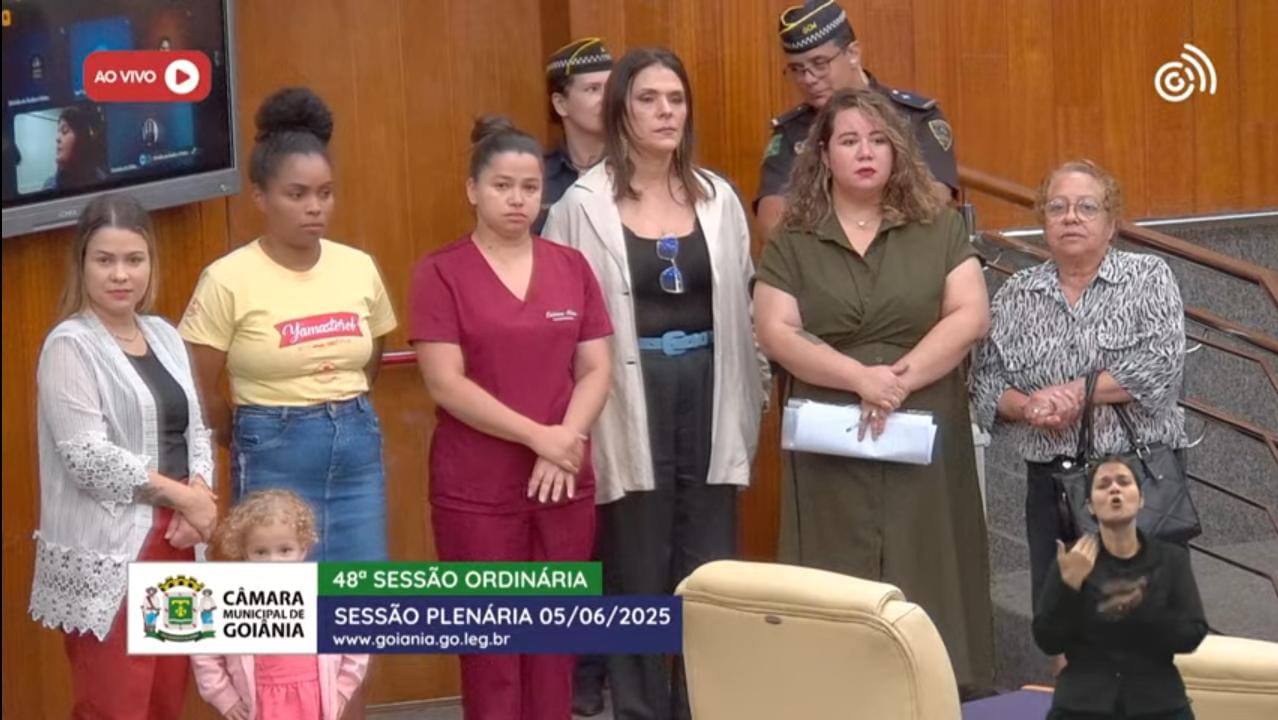 Imagem das mães durante uma sessão em plenário