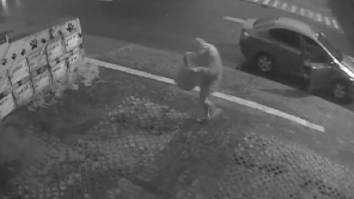 Homem abandonou filhos de cachorro em Goiânia (Foto: Reprodução)