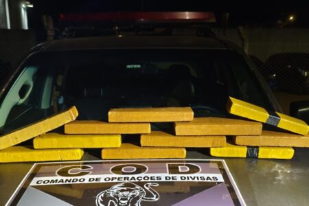 Homem é preso em Goiás com 11 kg de maconha que levaria para Brasília