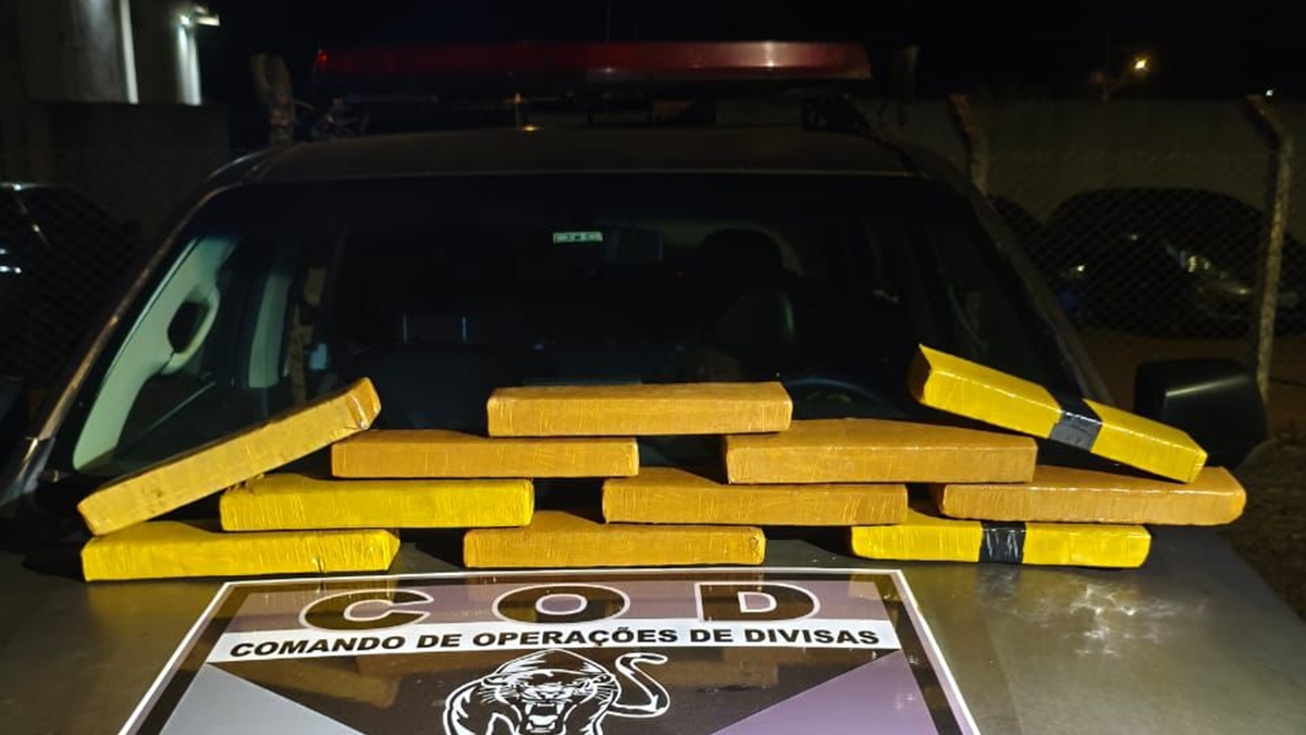 Homem é preso em Goiás com 11 kg de maconha que levaria para Brasília