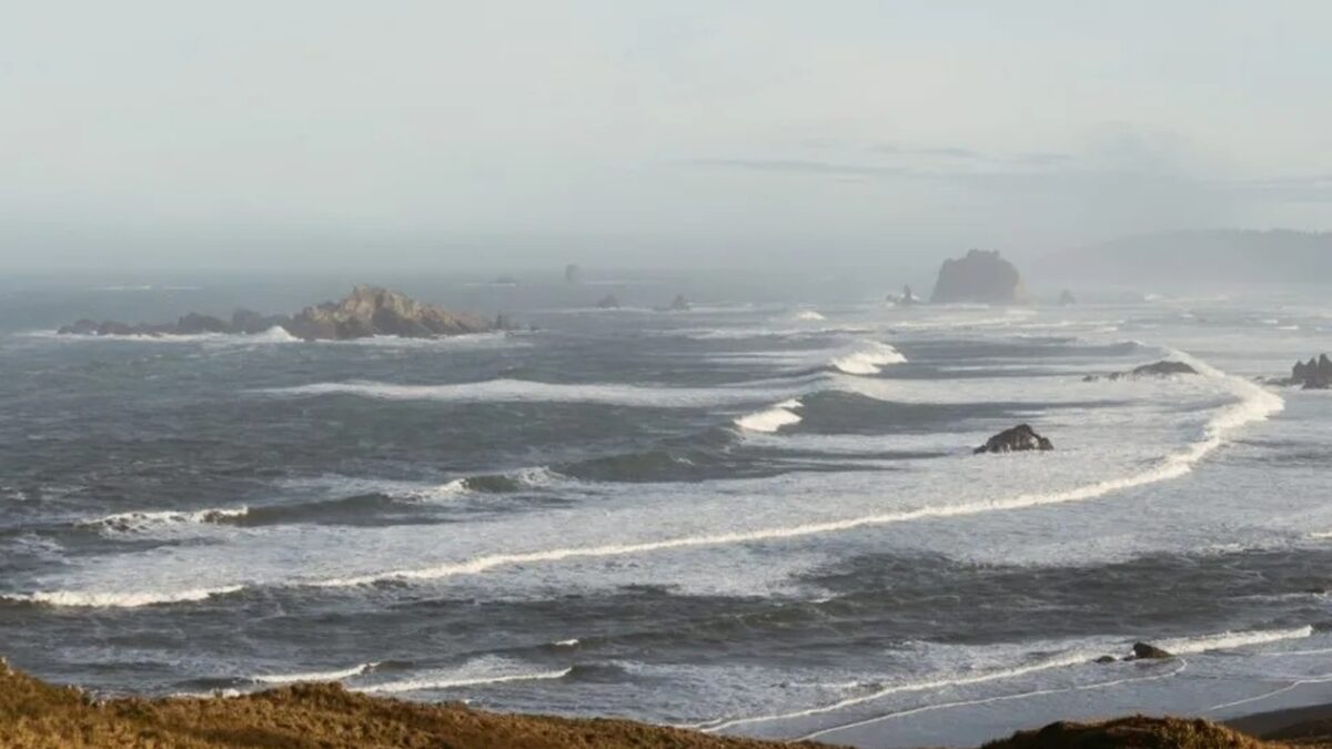 América do Sul têm alerta de tsunami após terremoto de magnitude 8,8; vídeos Ondas atingiram Rússia, Japão, Estados Unidos e América Central