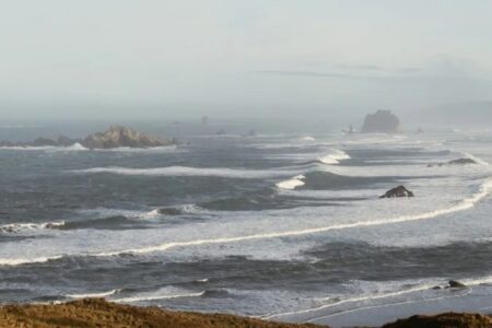 América do Sul têm alerta de tsunami após terremoto de magnitude 8,8; vídeos Ondas atingiram Rússia, Japão, Estados Unidos e América Central
