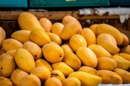 Tarifaço de Trump já trava exportações de manga do Brasil para os Estados Unidos