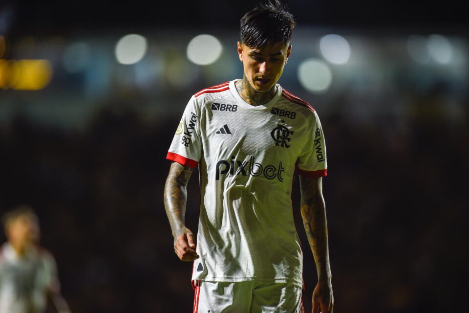 Erick Pulgar