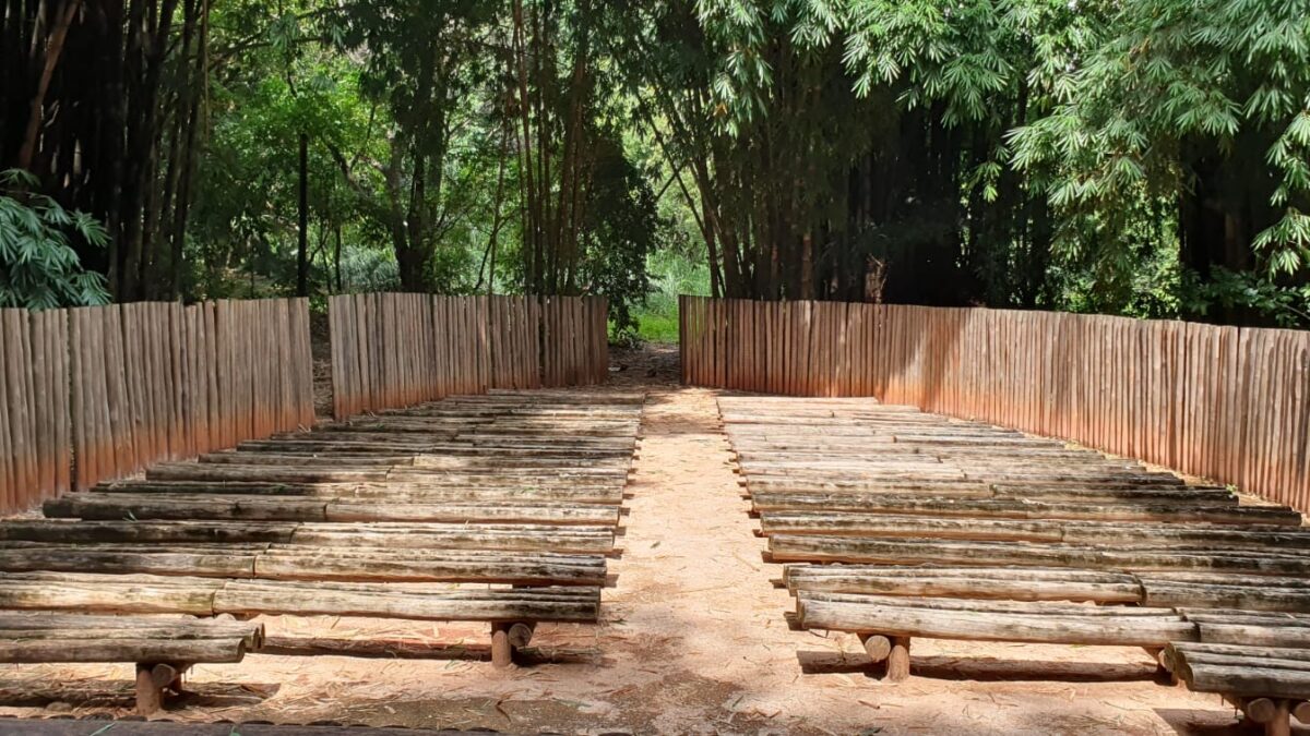 Colônia de férias ambiental recebe inscrições para crianças de 5 a 12 anos em Goiânia