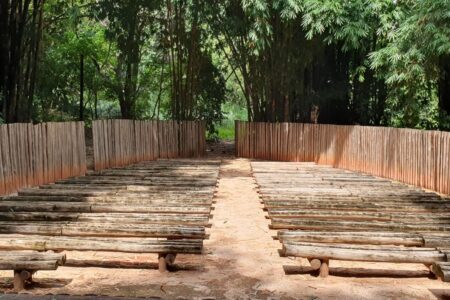 Colônia de férias ambiental recebe inscrições para crianças de 5 a 12 anos em Goiânia