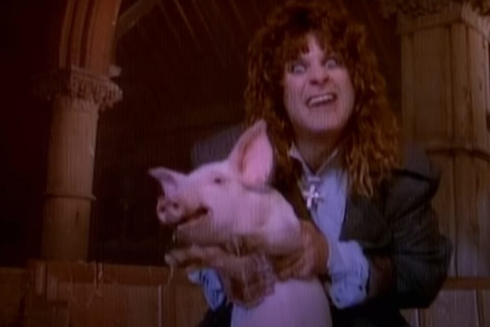 Ozzy Osbourne colocou 60 porcos numa igreja após polêmica com pastor História envolveu críticas religiosas, ironia e muito cocô
