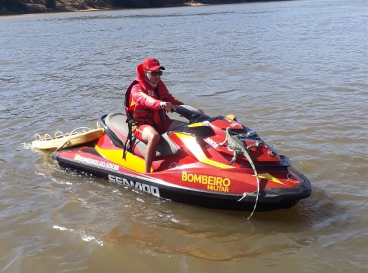 Animal foi deixado em local seguro (Foto: Bombeiros)