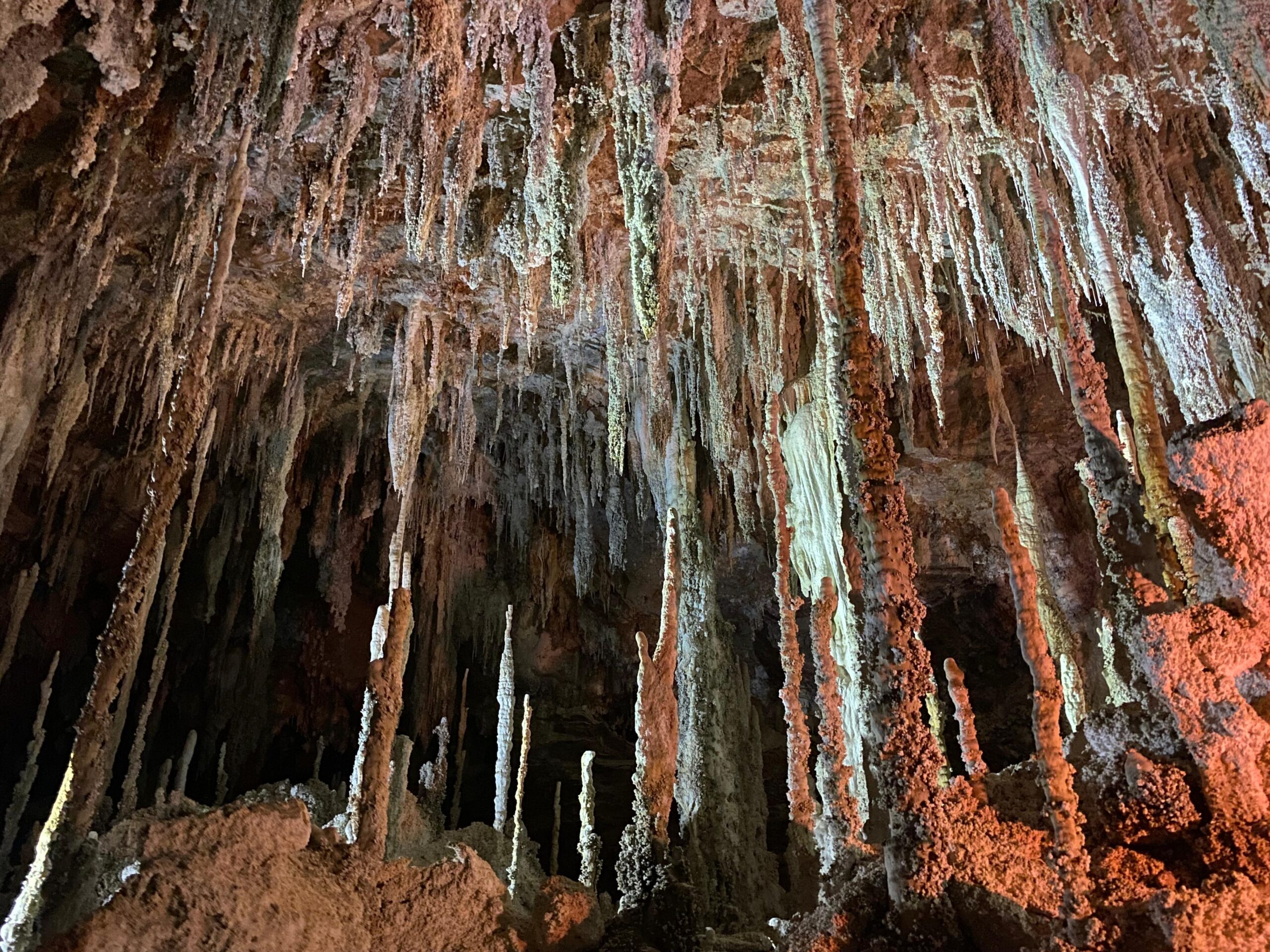 Guia Terra Ronca: o que visitar, onde comer e se hospedar na região