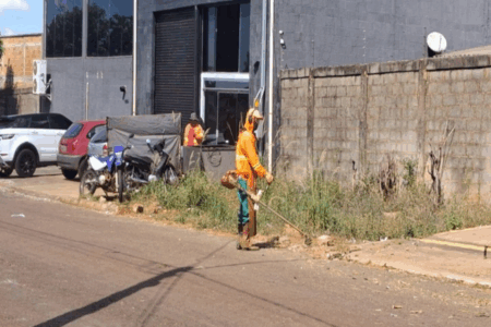 Serviço de roçagem em Goiânia (Foto: Comurg)