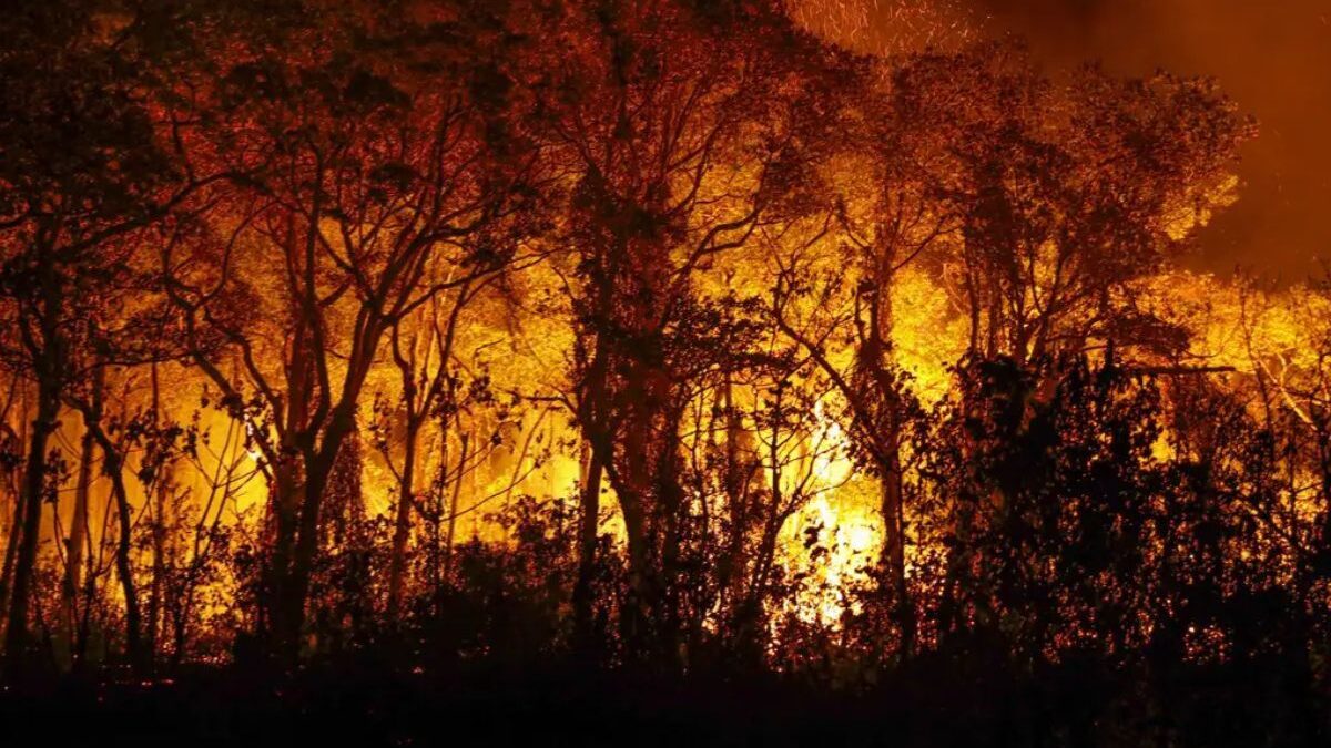 Uso do fogo em vegetação gera risco de incêndios (Foto: Agência Brasil)