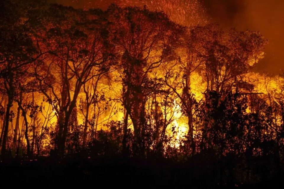Uso do fogo em vegetação gera risco de incêndios (Foto: Agência Brasil)
