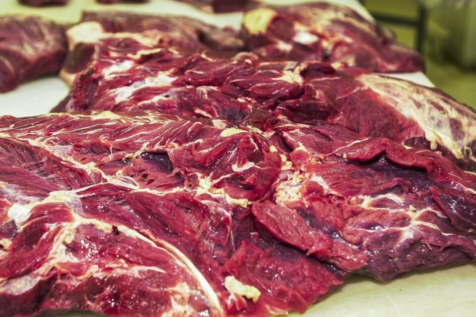 Carne fresca,Açougues, Frigoríficos, alimento