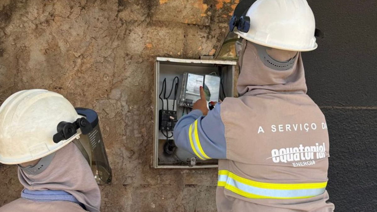 Mulher é presa após adulterar medidor de energia (Foto: Reproduçãõ)