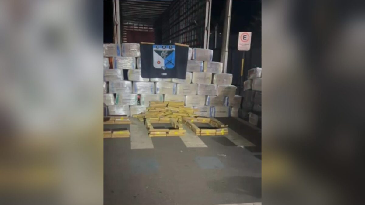 imagem de parte da droga apreendida