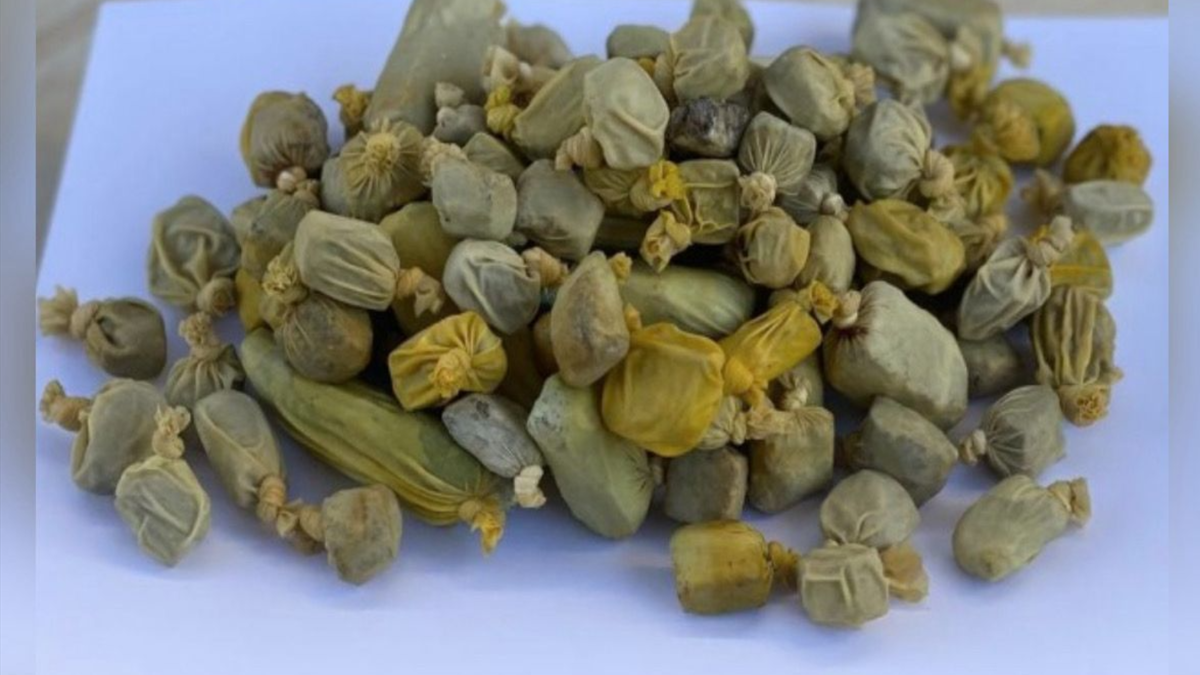 Maconha apreendida com mecânico (Foto: Reprodução)