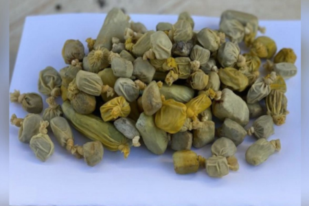 Maconha apreendida com mecânico (Foto: Reprodução)