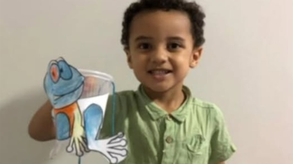 Enzo Gabriel Silva Custódio tinha 4 anos (Foto: Reprodução)