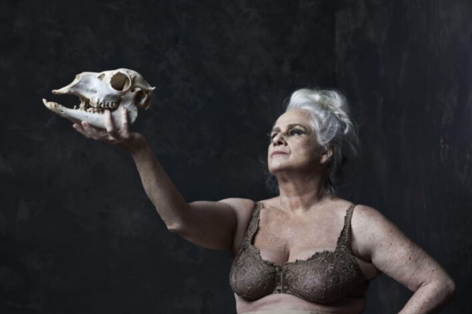 Vera Holtz Ficções (Foto:  Divulgação)