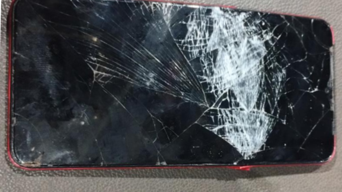 Homem é preso por agredir a namorada, quebrar o celular e jogar o gato dela contra parede, em Rio Verde