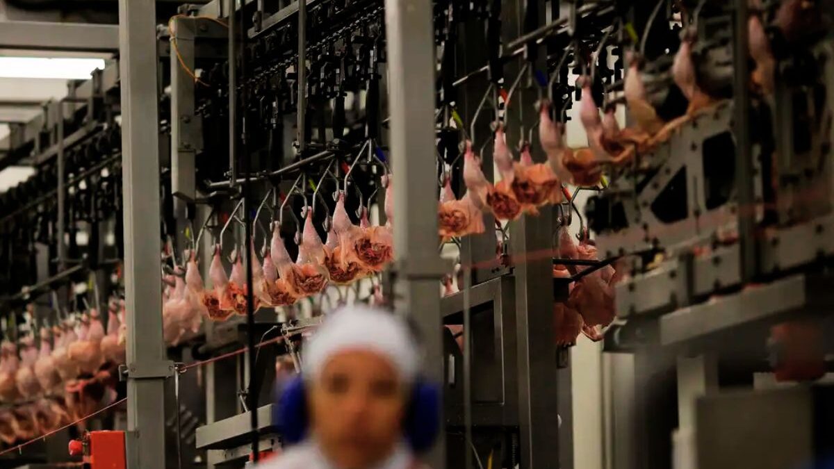 Compra de carne brasileira pelos EUA despenca 80% em três meses (Foto: Agência Brasil)