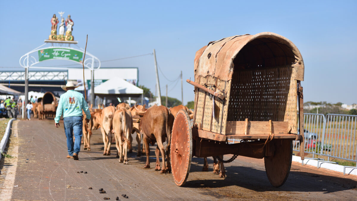 Romaria do Divino Pai Eterno chega ao 7º dia com desfile de carros de boi e Trindade é declarada capital simbólica de Goiás
