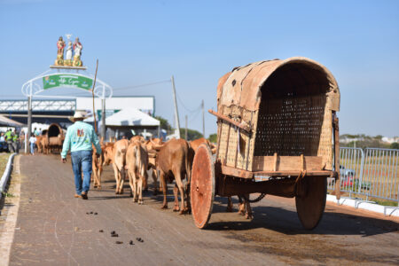 Romaria do Divino Pai Eterno chega ao 7º dia com desfile de carros de boi e Trindade é declarada capital simbólica de Goiás