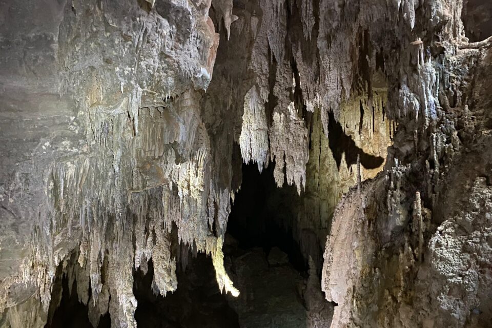 Guia Terra Ronca: o que visitar, onde comer e se hospedar na região