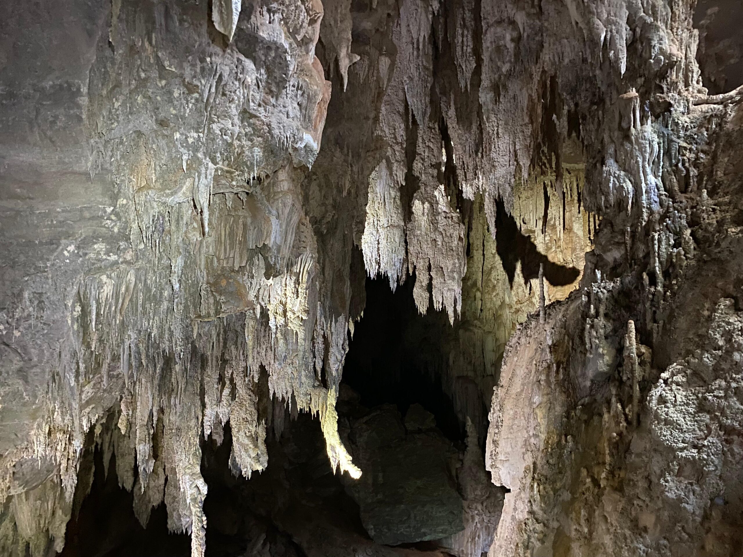 Guia Terra Ronca: o que visitar, onde comer e se hospedar na região