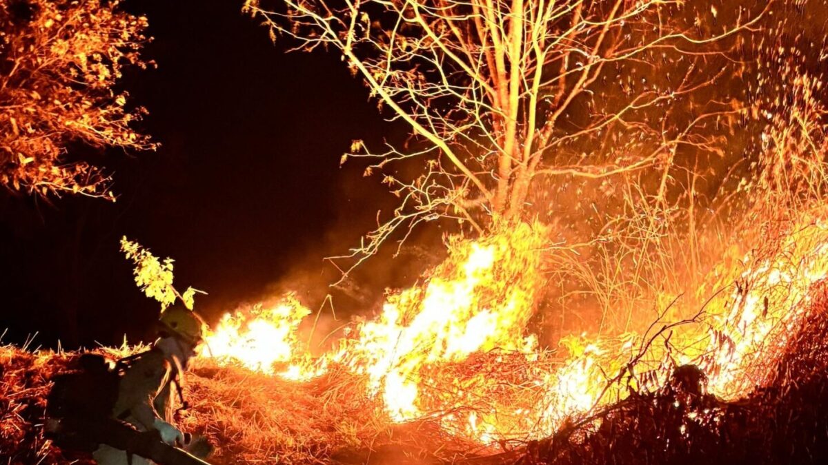 Bombeiros controlam incêndio na zona rural de Mara Rosa 1 af4ea1d8 imagem do whatsapp de 2025 07 26 as 13.11.59 c964df64 scaled e1753546885580 Bombeiros controlam incêndio na zona rural de Mara Rosa