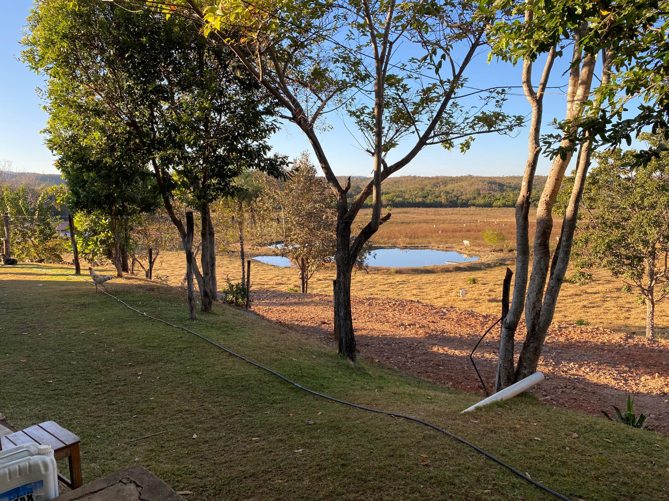 Guia Terra Ronca: o que visitar, onde comer e se hospedar na região
