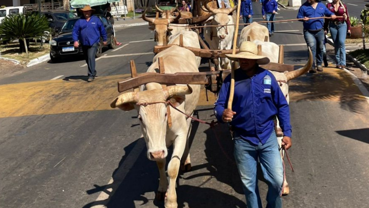 Carreiros chegam a Trindade após seis dias de peregrinação na Romaria do Divino Pai Eterno