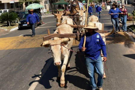 Carreiros chegam a Trindade após seis dias de peregrinação na Romaria do Divino Pai Eterno