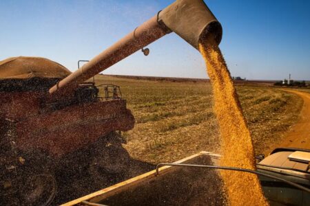 Juiz de Santa Cruz de Goiás impede penhora de equipamentos essenciais a produtor rural