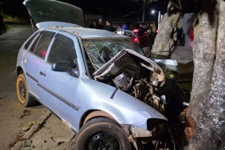 Motorista morre após bater em árvore enquanto fugia de blitz, em Anápolis