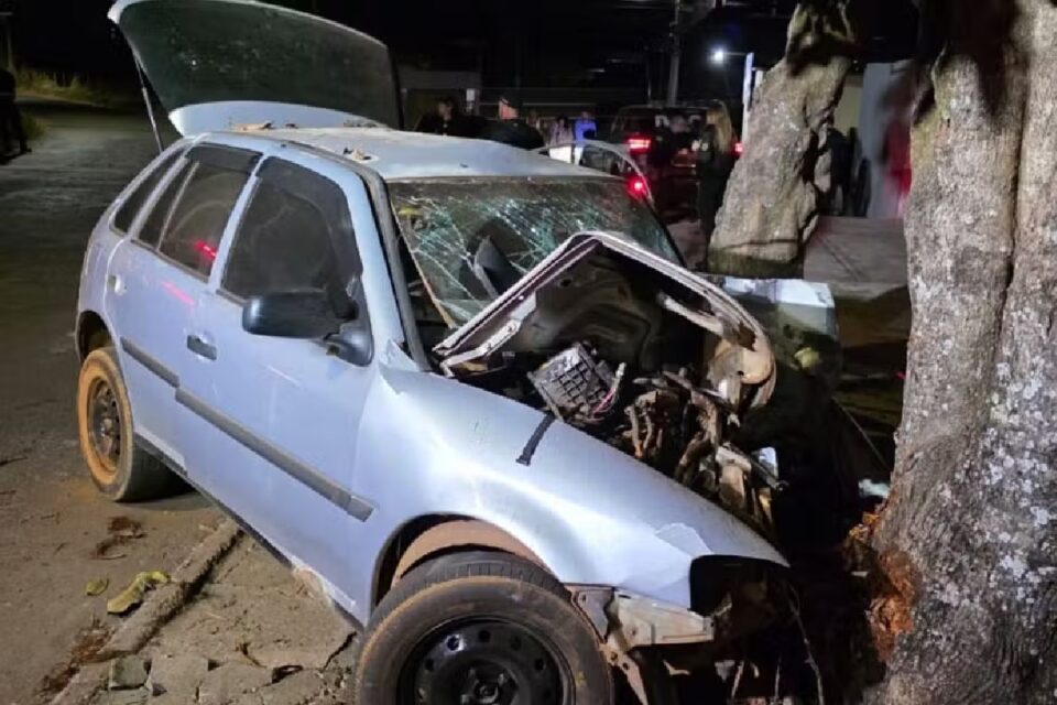Motorista morre após bater em árvore enquanto fugia de blitz, em Anápolis