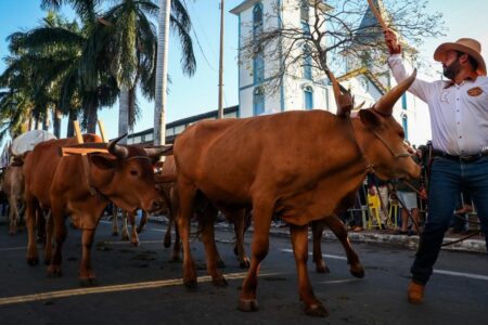 Romaria dos carros de bois é tradição de fé em Trindade