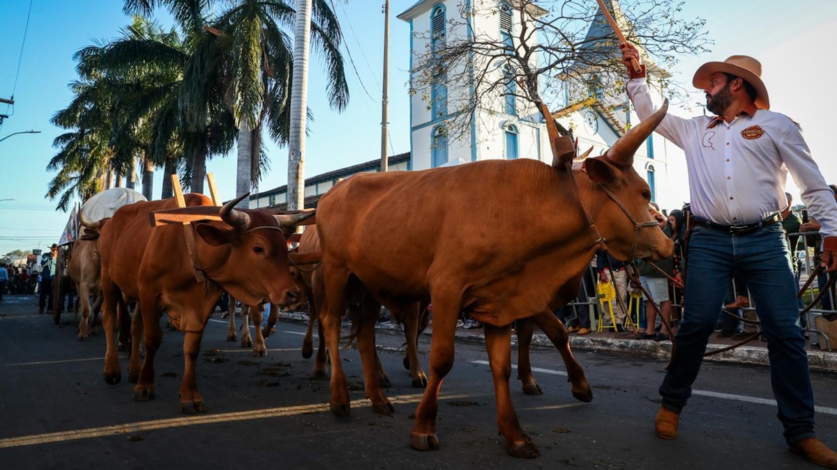 Romaria dos carros de bois é tradição de fé em Trindade