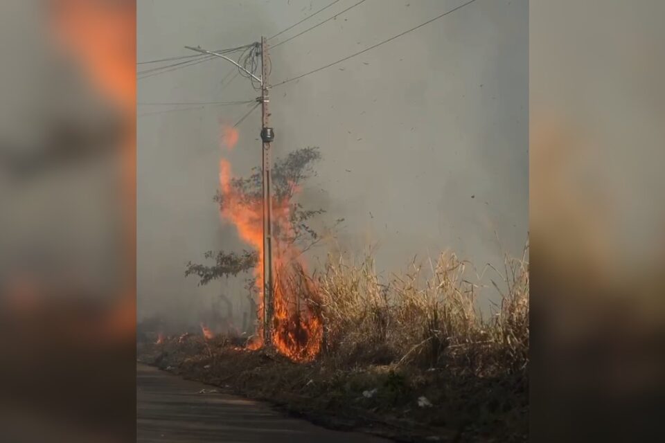 Incêndio atinge região de mata e rede elétrica no setor Ibiraquera, em Aparecida
