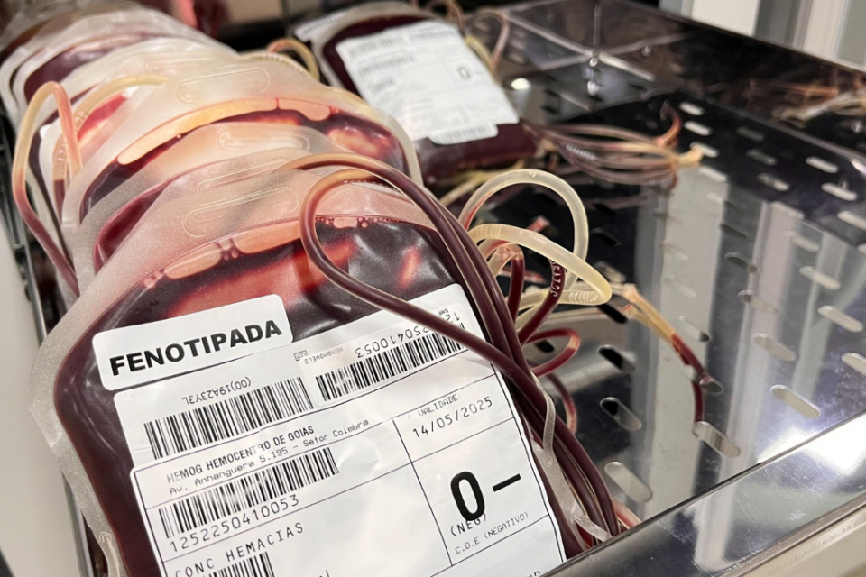 Rede Hemo necessita de sangue O negativo e convoca doadores
