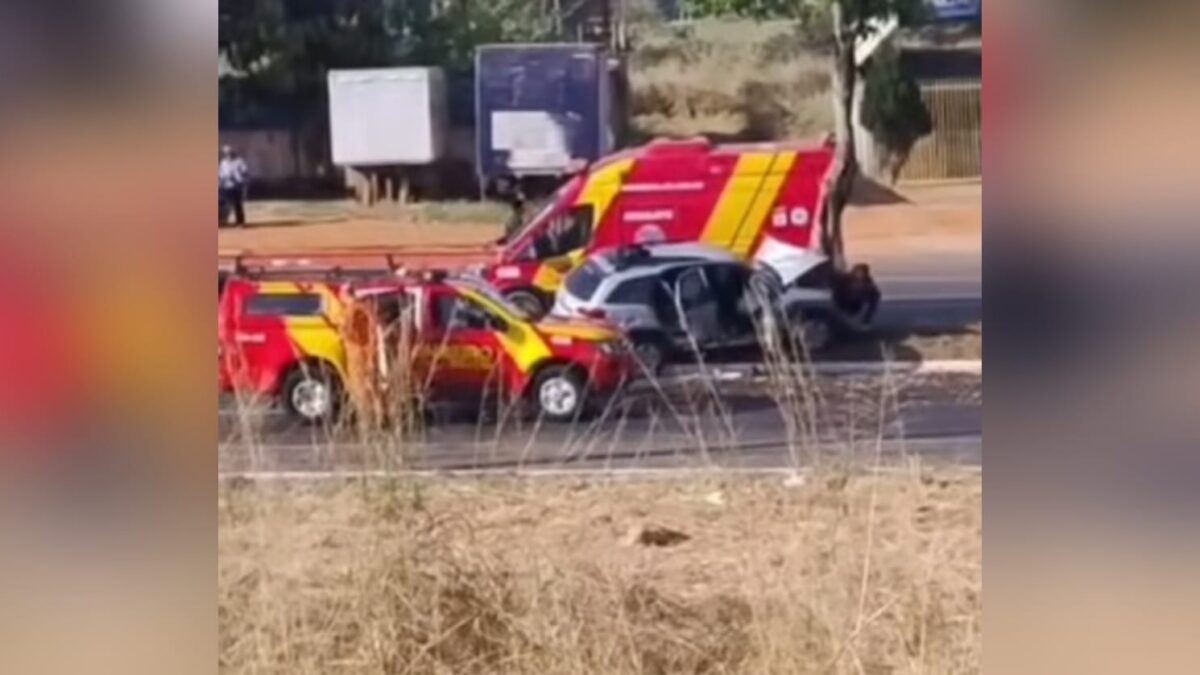 Idoso morre após bater carro contra árvore na Av. Perimetral Norte, em Goiânia 1 Imagem do local do acidente