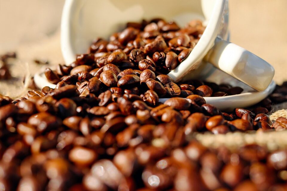 EUA admitem isentar do tarifaço café, cacau, manga, abacaxi e banana (Foto: Pixabay)