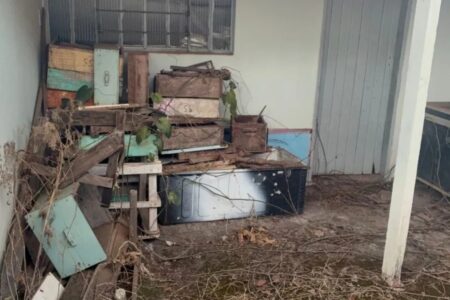 Imagem do local onde as colmeias estavam