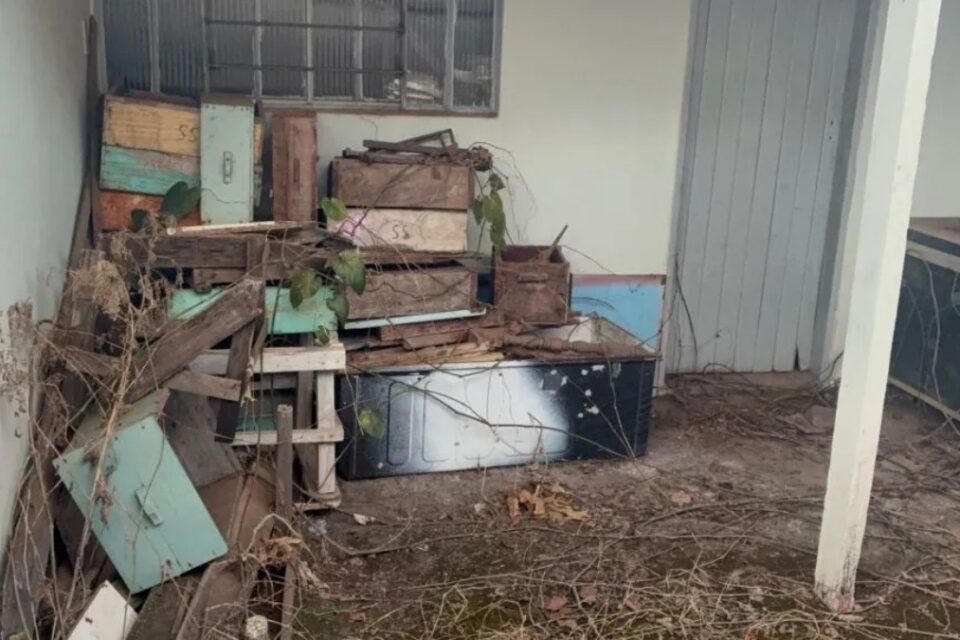 Imagem do local onde as colmeias estavam