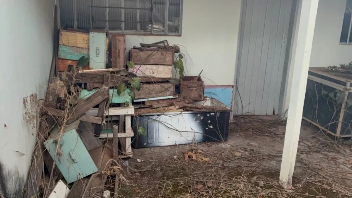 Imagem do local onde as colmeias estavam