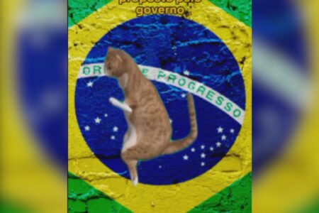 Governo federal usa gatinhos para explicar polêmica do IOF (Foto: Reprodução)