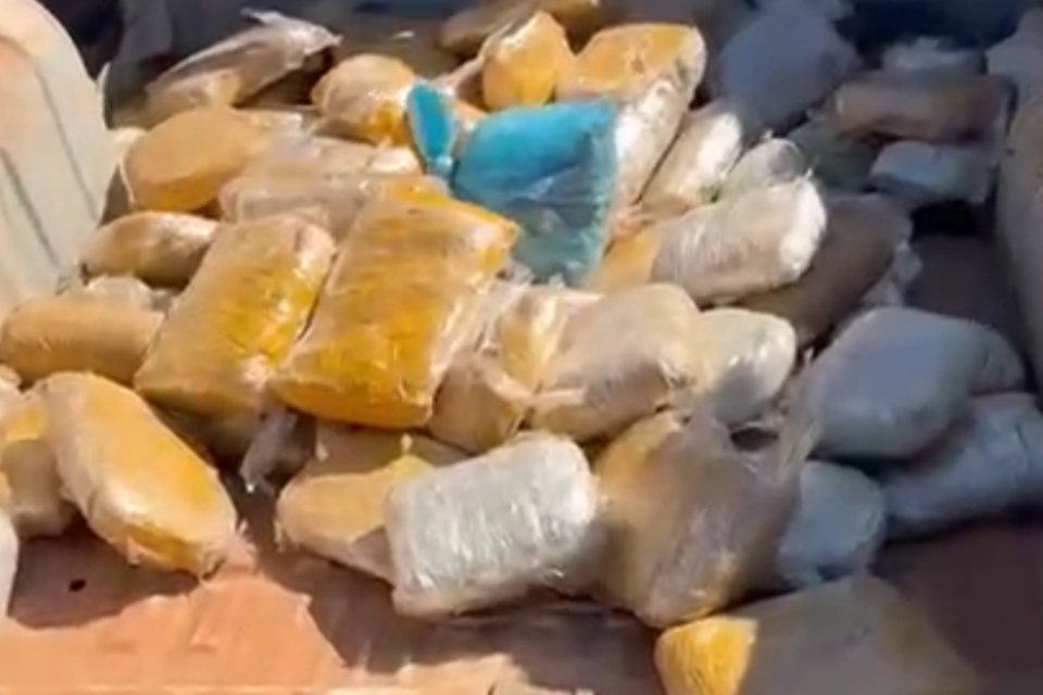 Motorista é preso transportando 90kg de skunk na BR-060